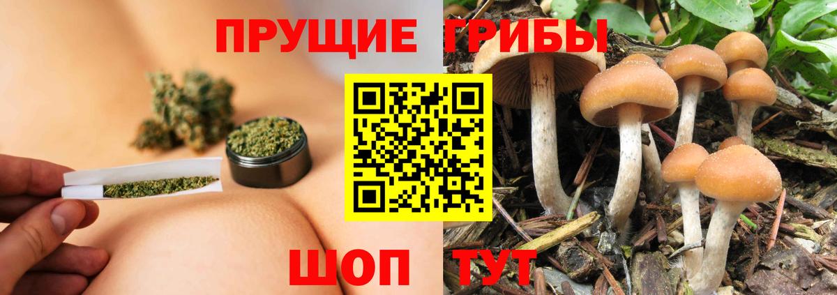 Галлюциногенные грибы Cubensis  Галлюциногенные грибы ЛСД  Вход с VPN  Полевской 